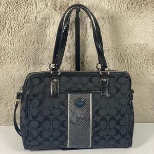 Coach Ashley Black Leather Carryall Python Purse (F1261-F19243)